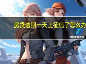 房贷逾期一天上征信了怎么办