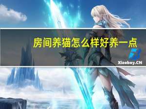 房间养猫怎么样好养一点