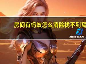 房间有蚂蚁怎么消除 找不到窝（房间有蚂蚁怎么消除）