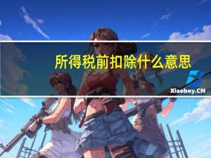所得税前扣除什么意思