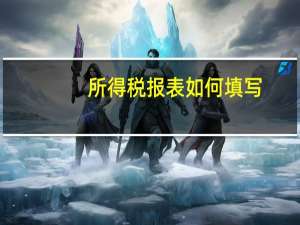 所得税报表如何填写