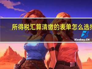 所得税汇算清缴的表单怎么选择