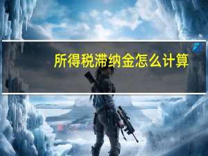 所得税滞纳金怎么计算