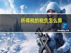 所得税的税负怎么算