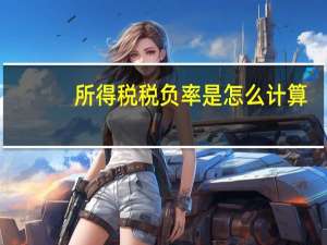 所得税税负率是怎么计算