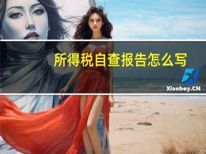 所得税自查报告怎么写