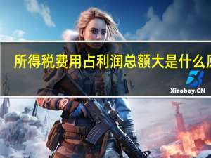 所得税费用占利润总额大是什么原因（所得税费用占利润总额比重较大的原因）