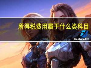 所得税费用属于什么类科目
