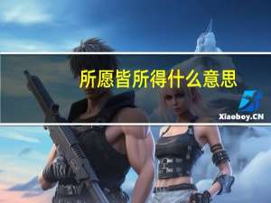 所愿皆所得什么意思
