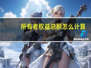 所有者权益总额怎么计算