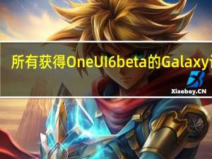 所有获得 One UI 6 beta 的 Galaxy 设备