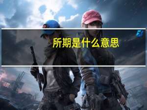 所期是什么意思