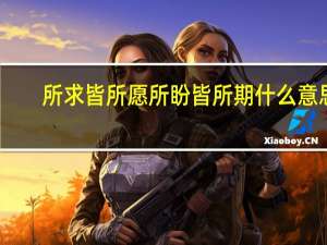 所求皆所愿所盼皆所期什么意思