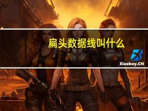 扁头数据线叫什么