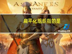 扁平化组织指的是