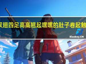 扇动双翅四足高高翘起嘿嘿的肚子卷起触到黄色的足