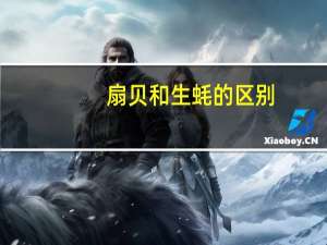 扇贝和生蚝的区别