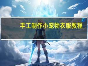 手工制作小宠物衣服教程