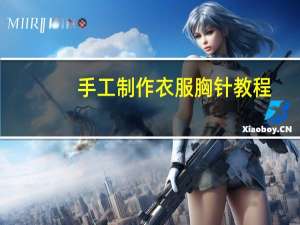 手工制作衣服胸针教程