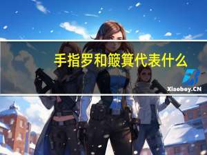 手指罗和簸箕代表什么（手指上的斗和簸箕代表什么）