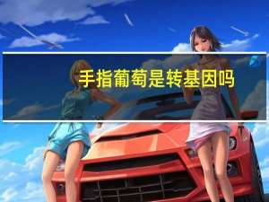 手指葡萄是转基因吗