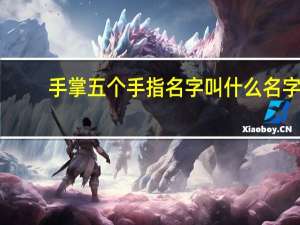 手掌五个手指名字叫什么名字