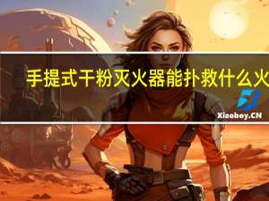 手提式干粉灭火器能扑救什么火灾