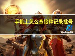 手机上怎么查接种记录批号（手机上怎么查接种记录）