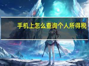 手机上怎么查询个人所得税