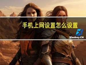手机上网设置怎么设置（手机上网设置）