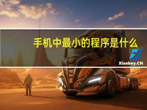 手机中最小的程序是什么