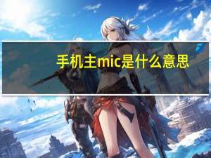 手机主mic是什么意思