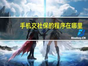 手机交社保的程序在哪里