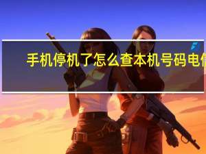 手机停机了怎么查本机号码电信（手机停机了怎么查本机号码）
