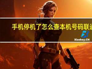 手机停机了怎么查本机号码联通（手机停机了怎么查本机号码）