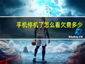 手机停机了怎么看欠费多少