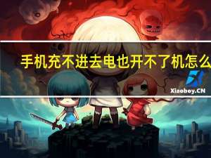 手机充不进去电也开不了机怎么办（手机充不进去电开不了机怎么办）