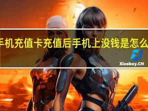 手机充值卡充值后手机上没钱是怎么一回事（手机充值卡充值）
