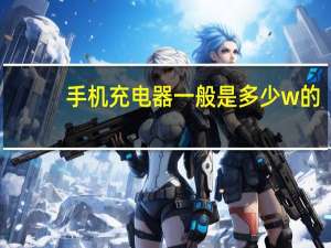 手机充电器一般是多少w的