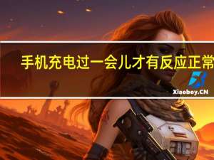 手机充电过一会儿才有反应正常吗（手机充电只有一瞬间有反应）