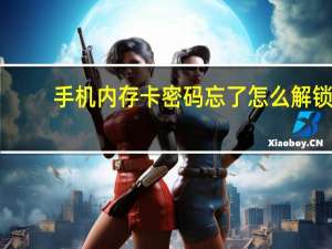 手机内存卡密码忘了怎么解锁（手机内存卡密码破解）