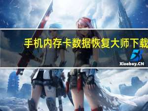 手机内存卡数据恢复大师下载（手机内存卡数据恢复）
