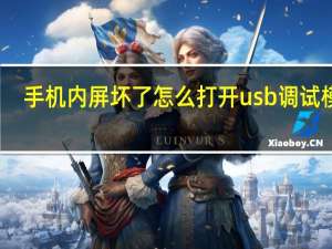 手机内屏坏了怎么打开usb调试模式（手机屏幕坏了怎么打开usb调试模式）