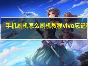 手机刷机怎么刷机教程vivo忘记密码（手机刷机怎么刷vivo）
