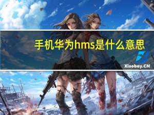 手机华为hms是什么意思（华为hms是什么）
