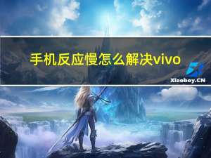 手机反应慢怎么解决vivo（手机反应慢怎么解决）