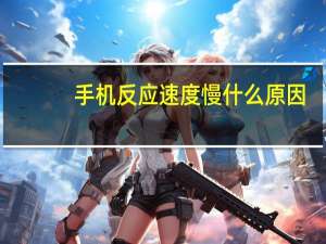 手机反应速度慢什么原因（手机反应速度慢）