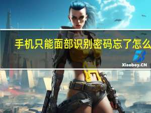 手机只能面部识别密码忘了怎么解