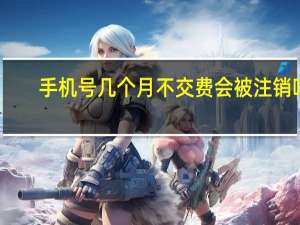 手机号几个月不交费会被注销吗