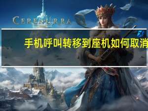手机呼叫转移到座机如何取消（手机呼叫转移是怎么取消）